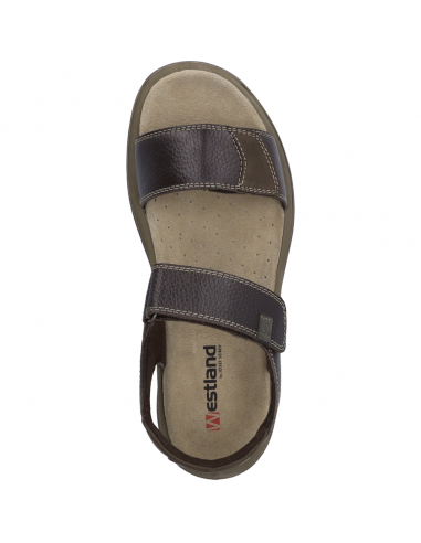 ALSACE-02 PIEL MARRON