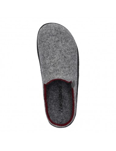 CARMAUX-01 LANA GRIS