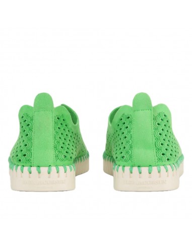 TULIP 3275 BRIGHT GREEN