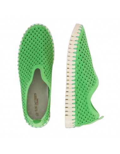 TULIP 3275 BRIGHT GREEN