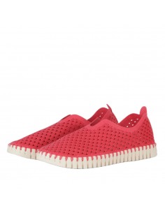 TULIP 3275 MAGENTA 2