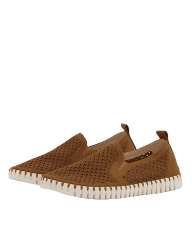 TULIP 140 MEN CASHEW