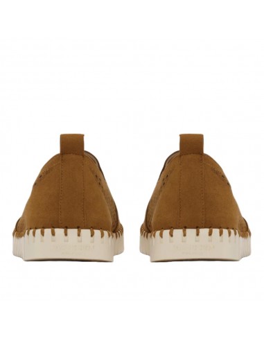 TULIP 140 MEN CASHEW