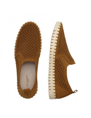 TULIP 140 MEN CASHEW