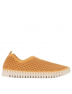 TULIP 3275 GOLDEN NUT