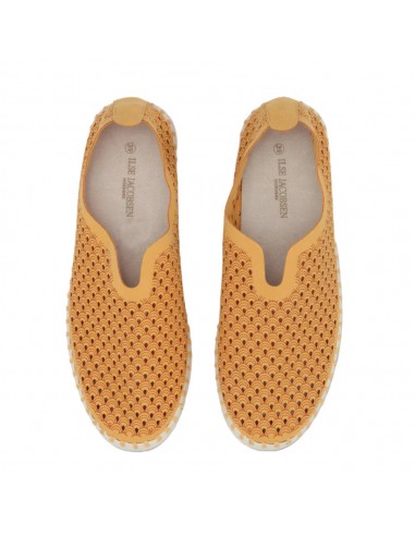 TULIP 3275 GOLDEN NUT