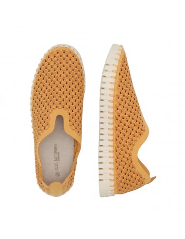 TULIP 3275 GOLDEN NUT