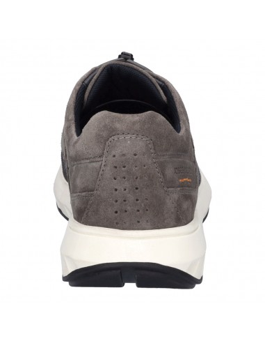 CAMERON-04 ANTRACITA