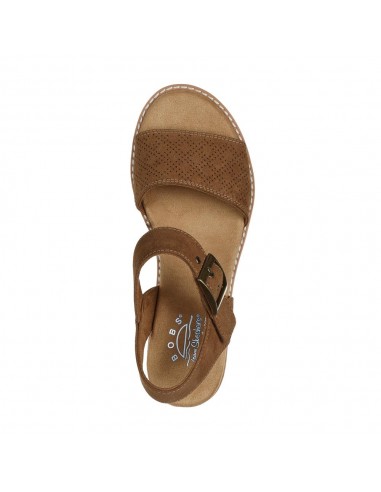 DESERT KISS SERENDIPITOUS MARRON