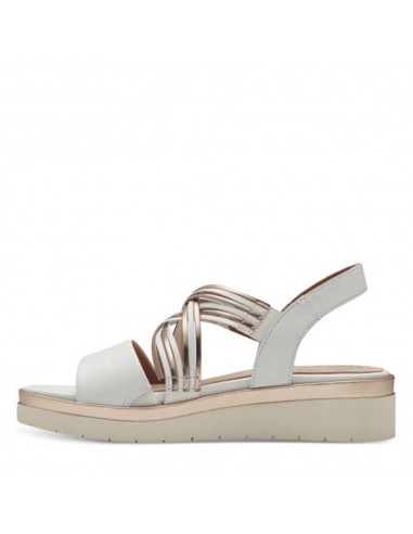 88707 PIEL BLANCA-ORO