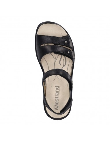 ANNECY-02 PIEL NEGRA