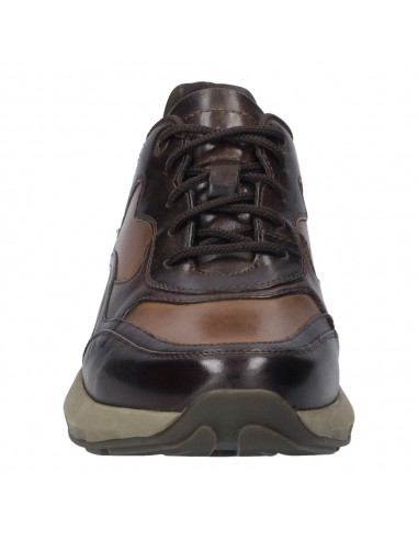 CAMERON-08 PIEL MARRON