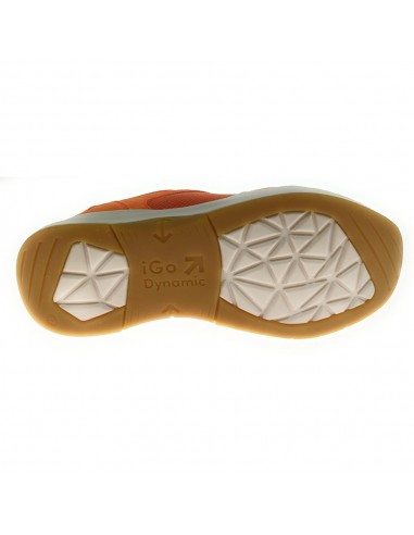 ELLI-07 MALLA PAPAYA