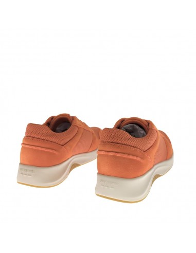 ELLI-07 MALLA PAPAYA