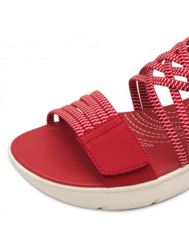 28766 ELASTICOS ROJO