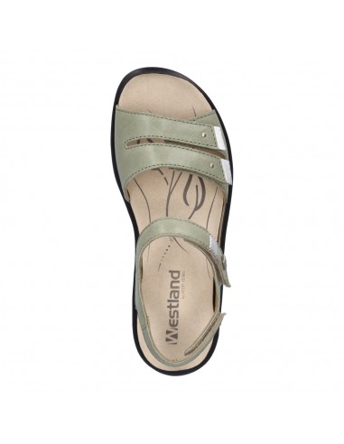 ANNECY-02 PIEL VERDE