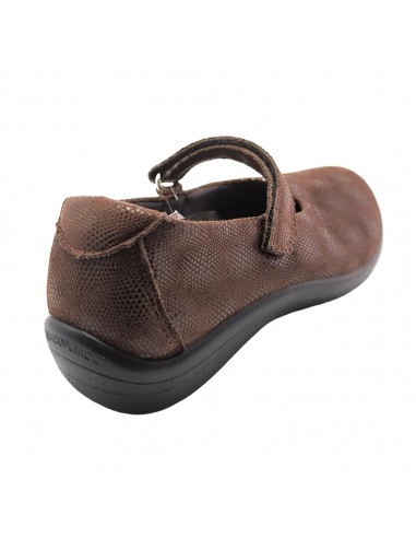 ESTRELA LICRA MARRON