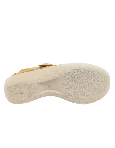 ESTRELLA LICRA MOSTA