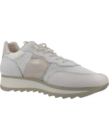 849 NATURE REJILLA B