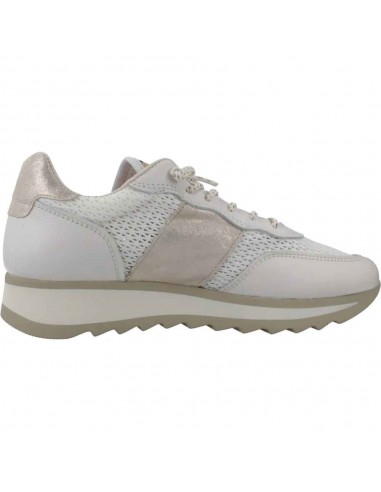 849 NATURE REJILLA B